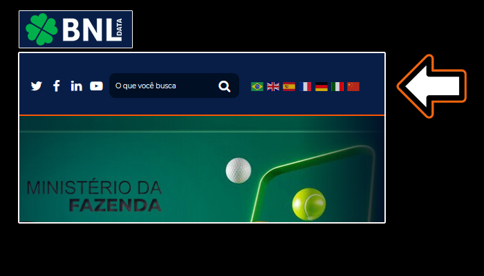 bnldata-pode-ser-lido-em-cinco-idiomas-com-traducao-on-line-7 BNLData pode ser lido em sete idiomas com tradução on-line
