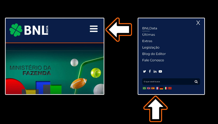 bnldata-pode-ser-lido-em-cinco-idiomas-com-traducao-on-line-8 BNLData pode ser lido em sete idiomas com tradução on-line