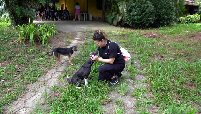 kaizen-gaming-mobiliza-mais-de-200-voluntarios-em-8-paises-incluindo-o-brasil-em-prol-do-bem-estar-animal-2 Kaizen Gaming mobiliza mais de 200 voluntários em 8 países, incluindo o Brasil, em prol do bem-estar animal